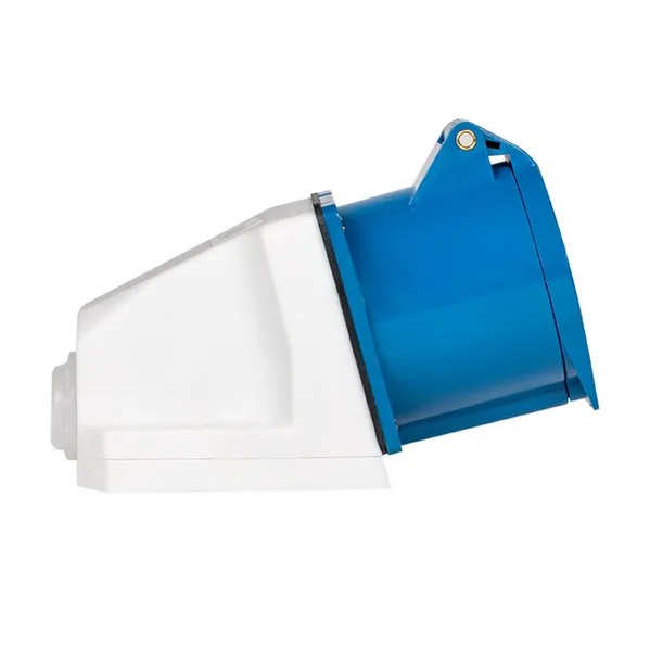 EKF Socket Blue Plastic 2